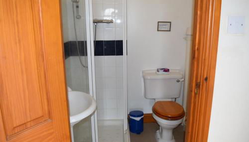 Glascoed Farmhouse Whitland - Foto 5, Shower, Other
