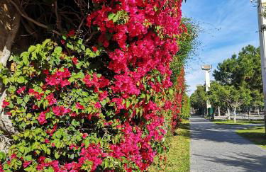 Japan Beach Parque del Oeste - Foto 20