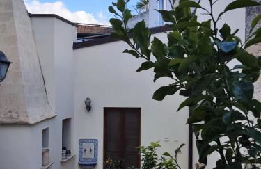 Rachel's House - Foto 49