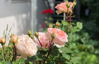 Charmante Ferienwohnung mit Balkon im 5-Seen-Land - Foto 16
