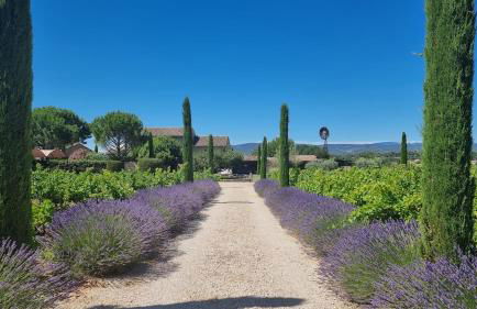 Mas aux gourmandises - Foto 25