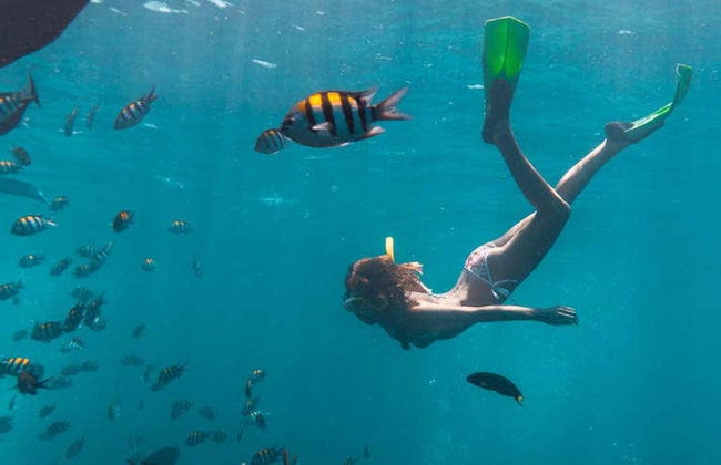 Snorkelling in Havana - Photo 1