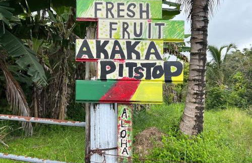 THE HONOMU HOUSE - Gorgeous, Spacious 4Bd2Ba Home near Waterfalls and Hilo, Sleeps 12! - Foto 35