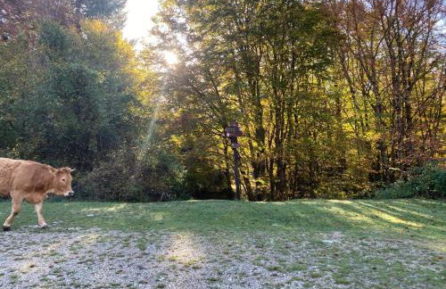 La casa nel bosco-Val Granara guesthouse - Foto 13