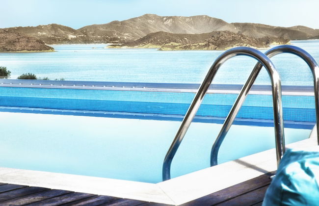 Golden King - Foto 1