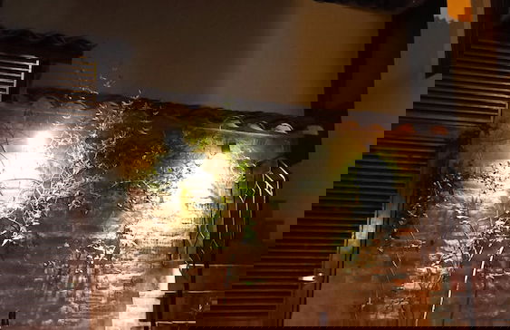 HOTEL KUTTY WASI SUITES - Photo 19