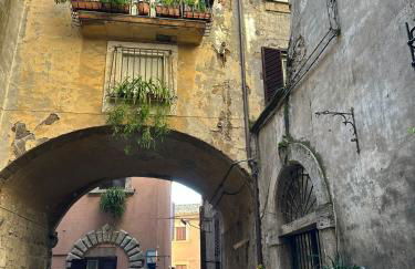 La Civetta - Casa vacanze Orte - Foto 15