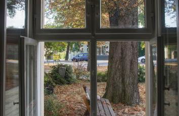 Blumenhaus - Foto 14