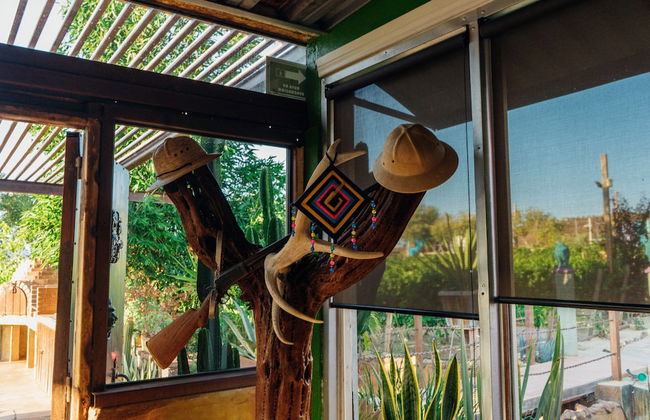 Ecléctico Guadalupe - Foto 6