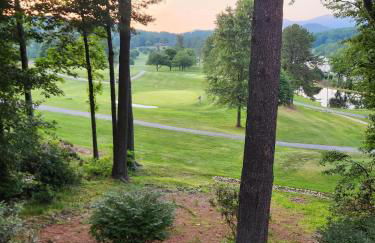 Fairway Gem at Spruce Pine - Foto 35