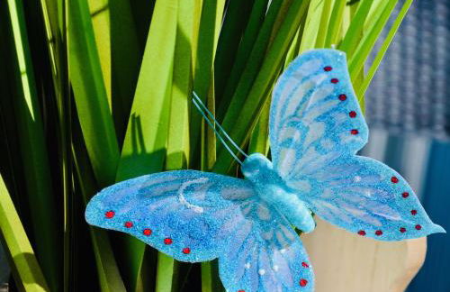 Komfort-Ferienhaus - Extertal-Ferienpark für 1-5 Personen Sauna Natur - Foto 28