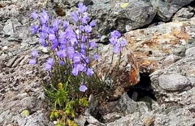 6 Person Holiday Home in Hartbakke - Foto 50