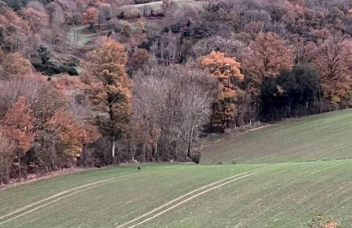 Maison de campagne - St Céneri - Alpes Mancelles - Photo 40