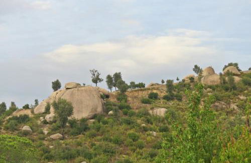 Casa do O - Alojamento Local - Foto 53