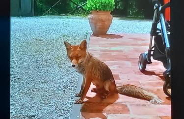 Agriturismo Da Nonna Argia - Foto 33