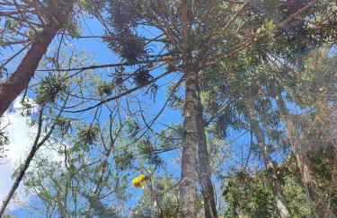 Chalés Ser Tão di Minas - Photo 3