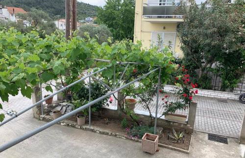 Rania House - Photo 25