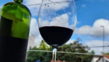 Apê Serrano - Foto 3