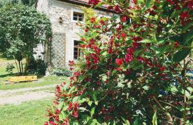 Czerwony Dworek 8 - Agroturystyka Karkonosze - Foto 13