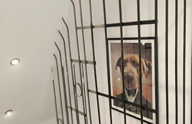 Landhaus Sonnenwinkel - Foto 8