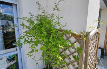 Cozy Family - Foto 24