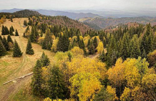 Domki pod lasem Gorce z kominkiem i jacuzzi - Photo 17