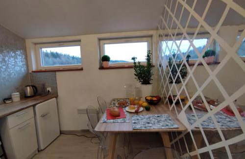 Ropienka ski micro - Foto 27