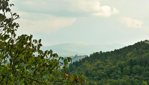 Anna's Apartment - Foto 5