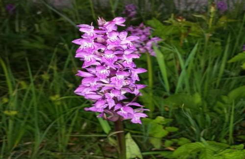 Appealing apartment in Bad Bayersoien with balcony - Foto 46