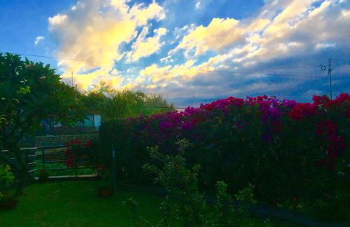 Casa Lira - Photo 53