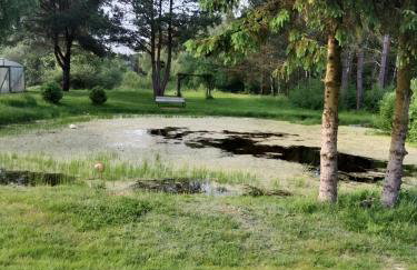 Domek Leśny Zakątek z klimatyzacją - Foto 6