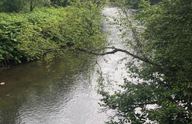 Gartenblick - Foto 57