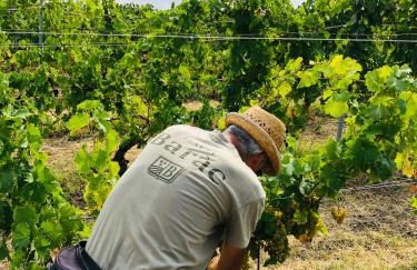 Cascina Baràc - Foto 90