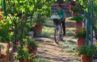 Venetis Luxury Apartments - Photo 6