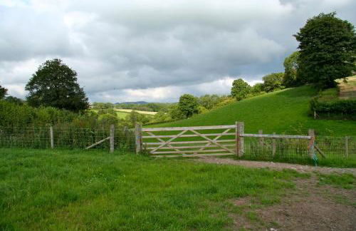 Pwllgwilym B & B - Foto 50