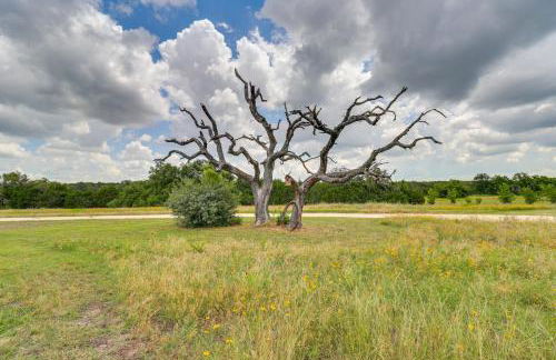 Bertram Ranch Property with Patio and Gas Grill! - Foto 30