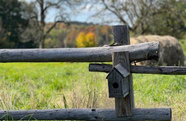 Pod Stromcem - Foto 35