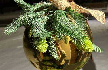 Przystanek SUCHE - Foto 7