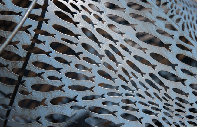 Bougainville C3/R - Foto 26