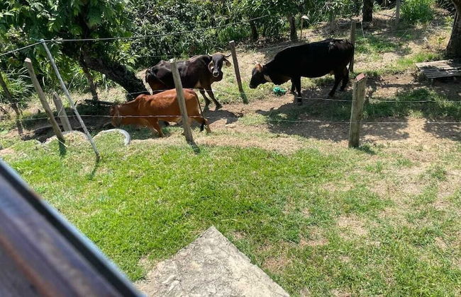 Finca Recreativa los Altos Giraldos - Photo 10