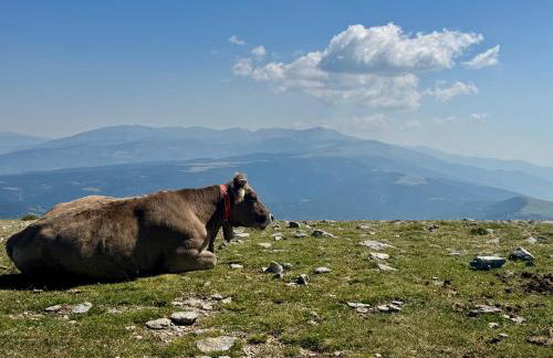 Residencia Pista Llarga - Foto 65