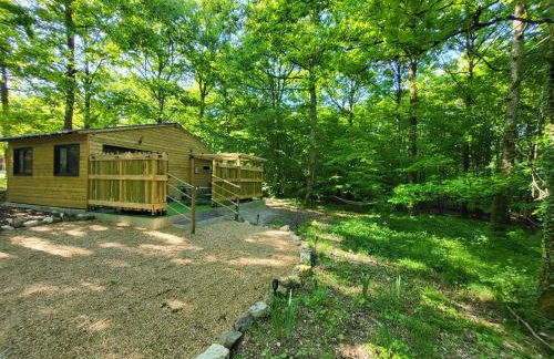 Cabanes en Loire, Gite & SPA en pleine nature - Foto 1