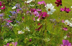 Haus mit stilvoller Ferienwohnung und Tiny House nahe Ammersee für 2-6 Personen - Foto 6