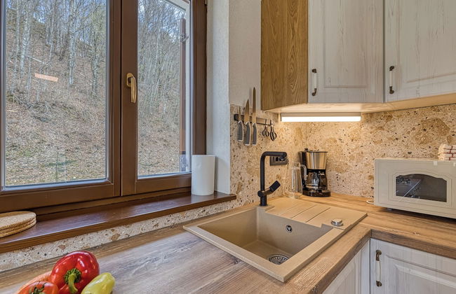 Riverside Resort Stari Malni Kolpa - Photo 7