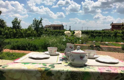 Fiori&vigne di Cecilia Marcon - Foto 28