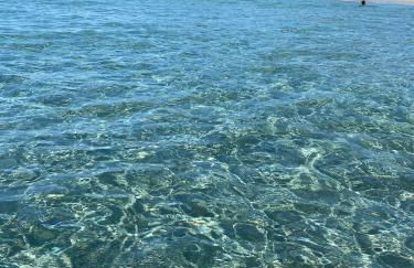 Maison au calme piscine mer au coeur de la nature U Nuciolu - Foto 8