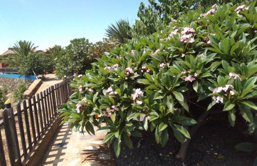 Casa Buganvillas, reformado - Foto 26