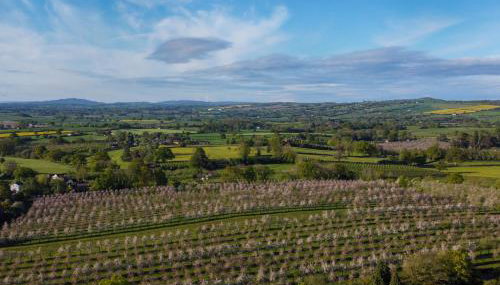 Dragon Orchard Retreat - Foto 4