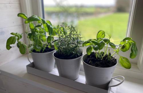 Luxury Boutique retreat, hot tub, dog friendly - Foto 44