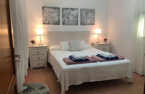 La Aurora - Photo 11